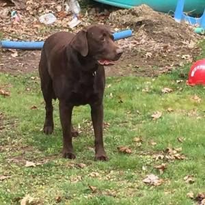 Meet your Posher, Madison